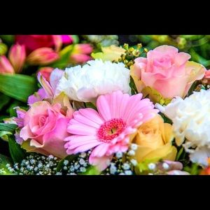 Meet your Posher, Juli